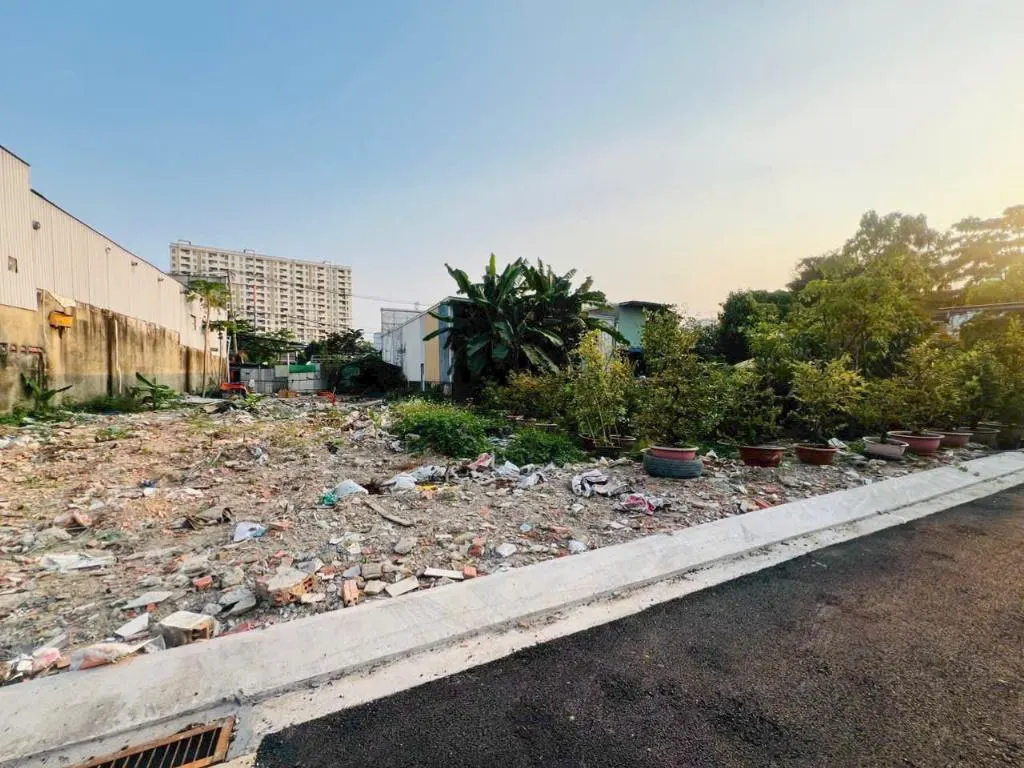 Lô Góc Hoàng Kim Q2: Phân Tích ROI 31.8 Tỷ - Có Nên Đầu Tư Ngay?