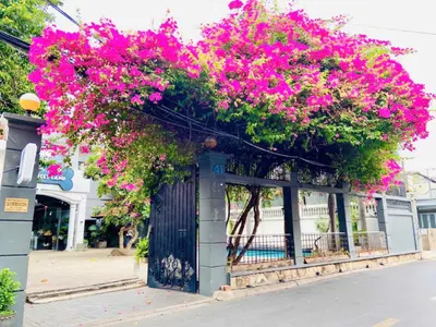 Prime Thao Dien Land - Investment Analysis for Office/Hotel Development