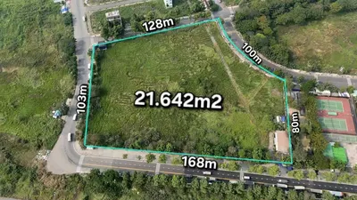 Rare Medical Land for Sale in District 2: 21,642m2, 4 Frontages, Approved for 20-Story Building