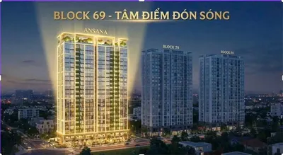 ANSANA Kita – Binh Tan: ROI & Risk Analysis from Vo Van Kiet Frontage Location